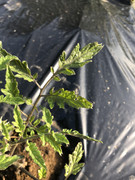 8D45571B-30D5-4B25-9269-0F8CA5E25DDF