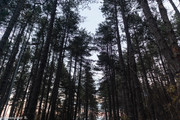 IMG-2369