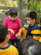 photo-littlefarmer2223-2B-005