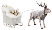 Country-Christmas-Kit-64