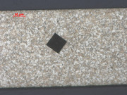 SIG neck 160x dichromate