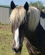 846BFB31-B32E-482A-B12A-E68D48E6C11B