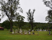 DSC-0009