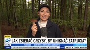 Obrazek