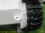 IMG-7731