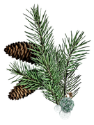 Burgandy-Christmas-Kit-106