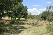 DSC-0050