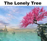 The-Lonely-tree