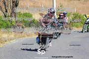 IMG-2539