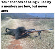 [Linked Image]
