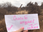 61FED128-9EFB-49EE-98B3-B5C58725797C