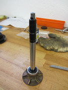 IMG-6914.jpg