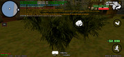 Screenshot-20260919-155237-SAMP-Mobile