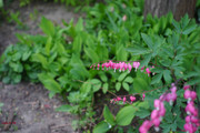 DSC00444