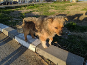 IMG-20190406-184446