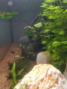 Immagine WhatsApp 2025-02-17 ore 15.57.17_b2f427a3