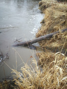 IMG-20200501-195339