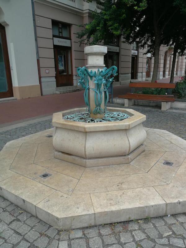 Kép