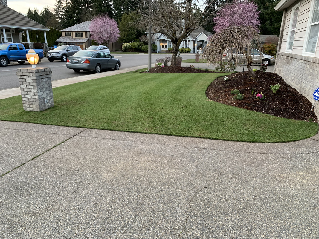 Puddles, puddles, puddles! How can I fix this? Lawn Care Forum