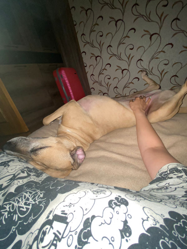 B2A206E1-EA31-4ABE-8DE0-E25F5C5B7DDB