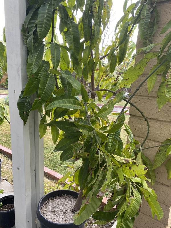 27570A75-C9A9-47F8-8710-FEDB7CEB3EEC