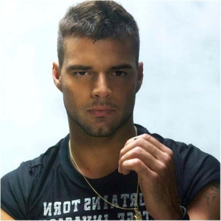 Ricky Martin  Discography (19912020)