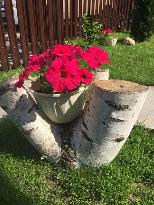 D819F9E9-1B61-451E-BD0A-7AE0842169E5