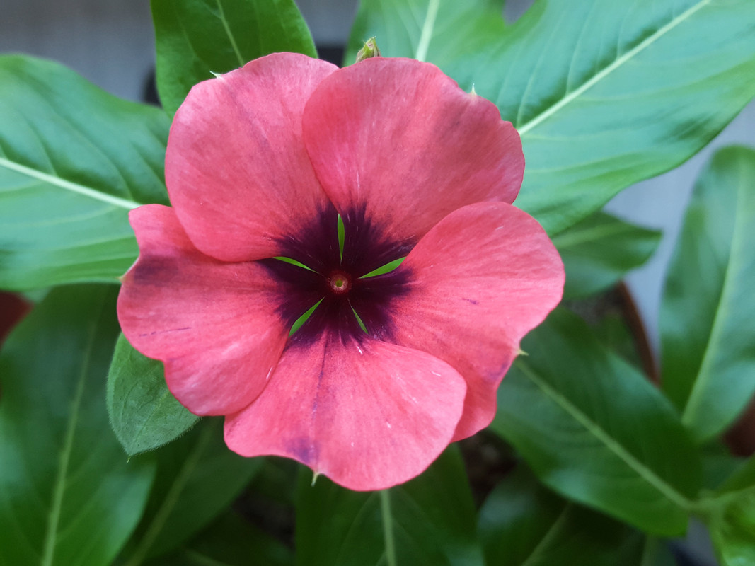 20190422_072620