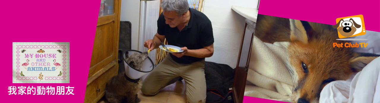 寵物頻道 2025年10月推薦節目
