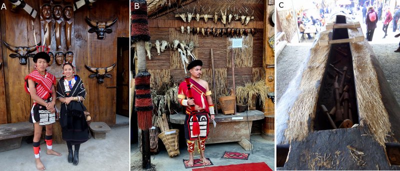 INDIA: Bambú, gurú y bodorrio hindú - Blogs de India - The Hornbill Festival de Kisama (Nagaland) (7)