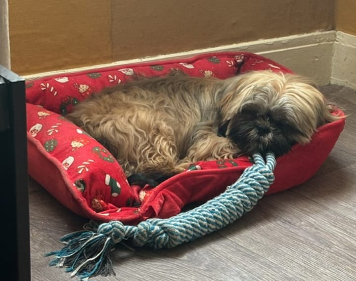 [Image: IMG-20240128-WA0005.jpg]