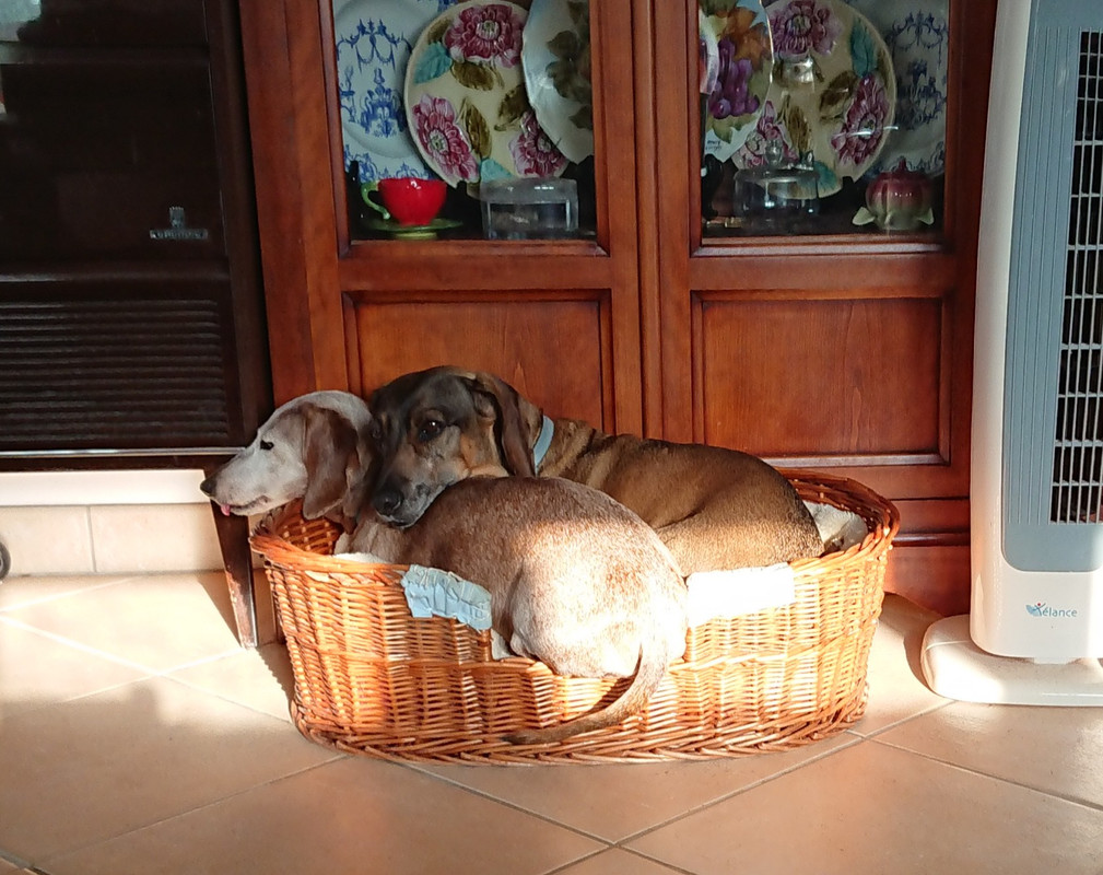 [Image: 20230630-080634.jpg]