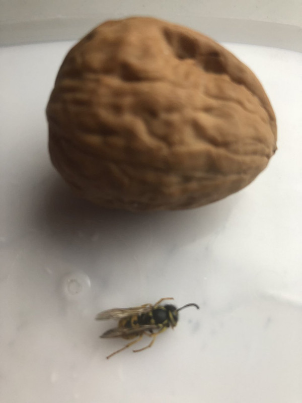 F437AEB1-8958-4B31-988C-149457486526