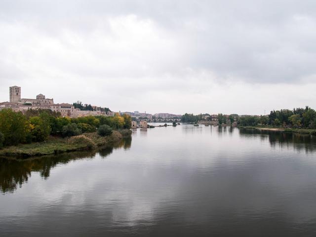 ZAMORA, TORO y "Las Edades del Hombre" - Blogs of Spain - Sábado en Zamora (37)