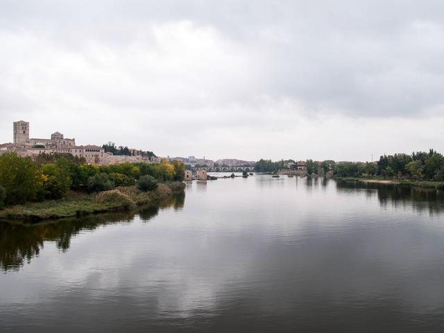 ZAMORA, TORO y "Las Edades del Hombre" - Blogs de España - Sábado en Zamora (37)