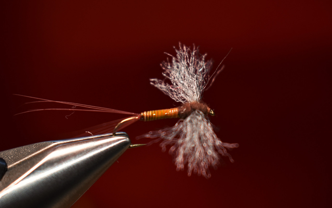 Red Quill Spinner