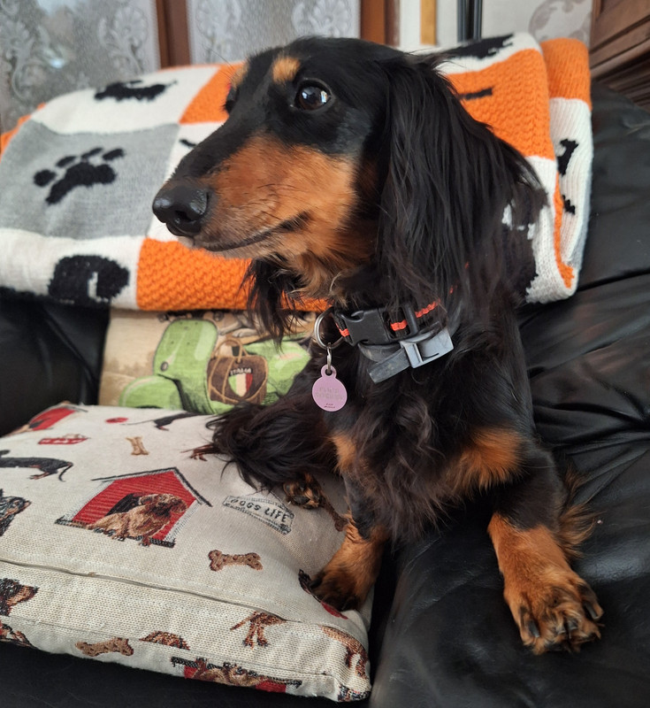 [Image: 20241023-132533.jpg]