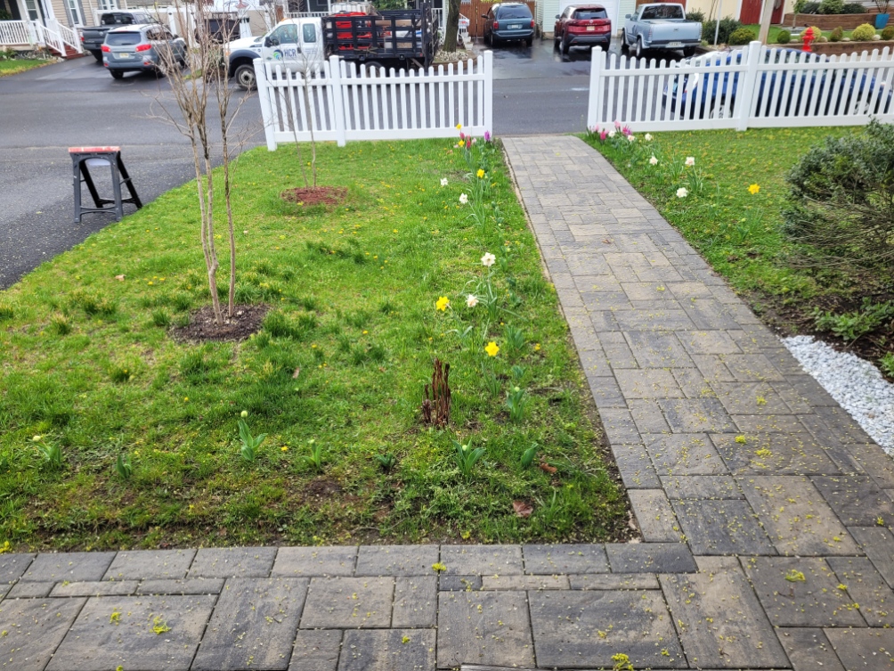 2024Apr flower beds before