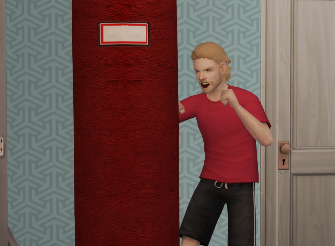 Sims2-EP9-RPC-2024-03-08-16-15-42-66