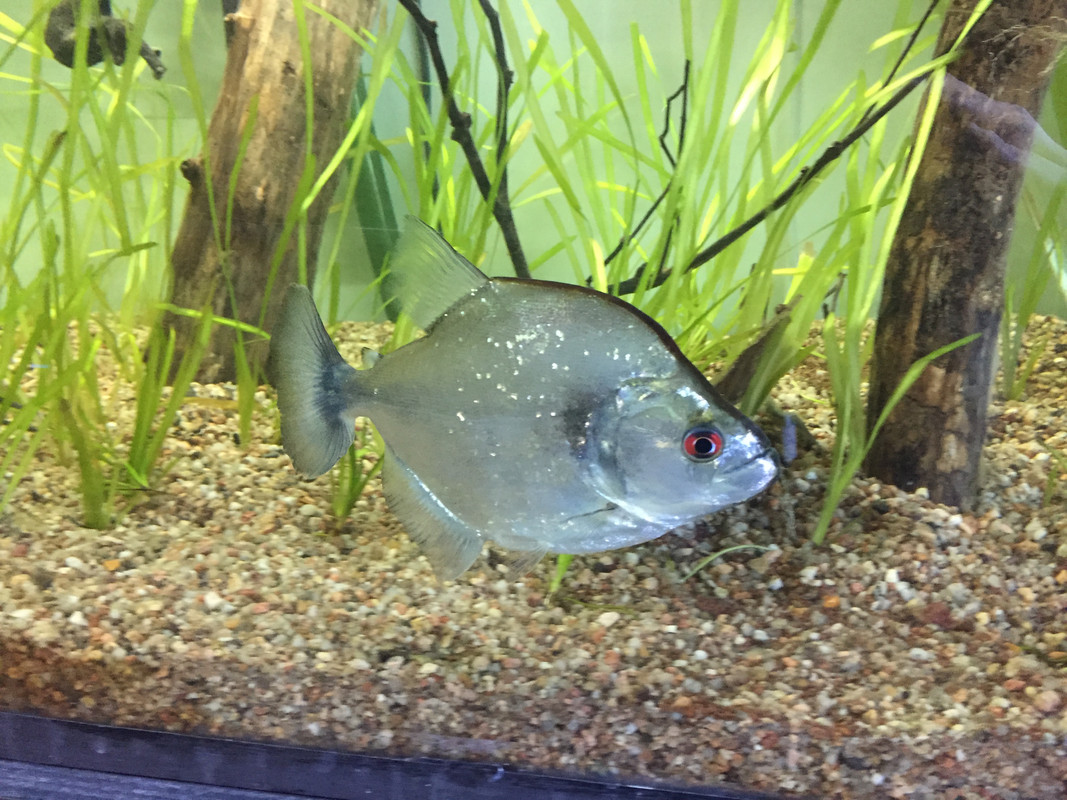 CE131938-DD8D-4119-B792-85D2566D6390