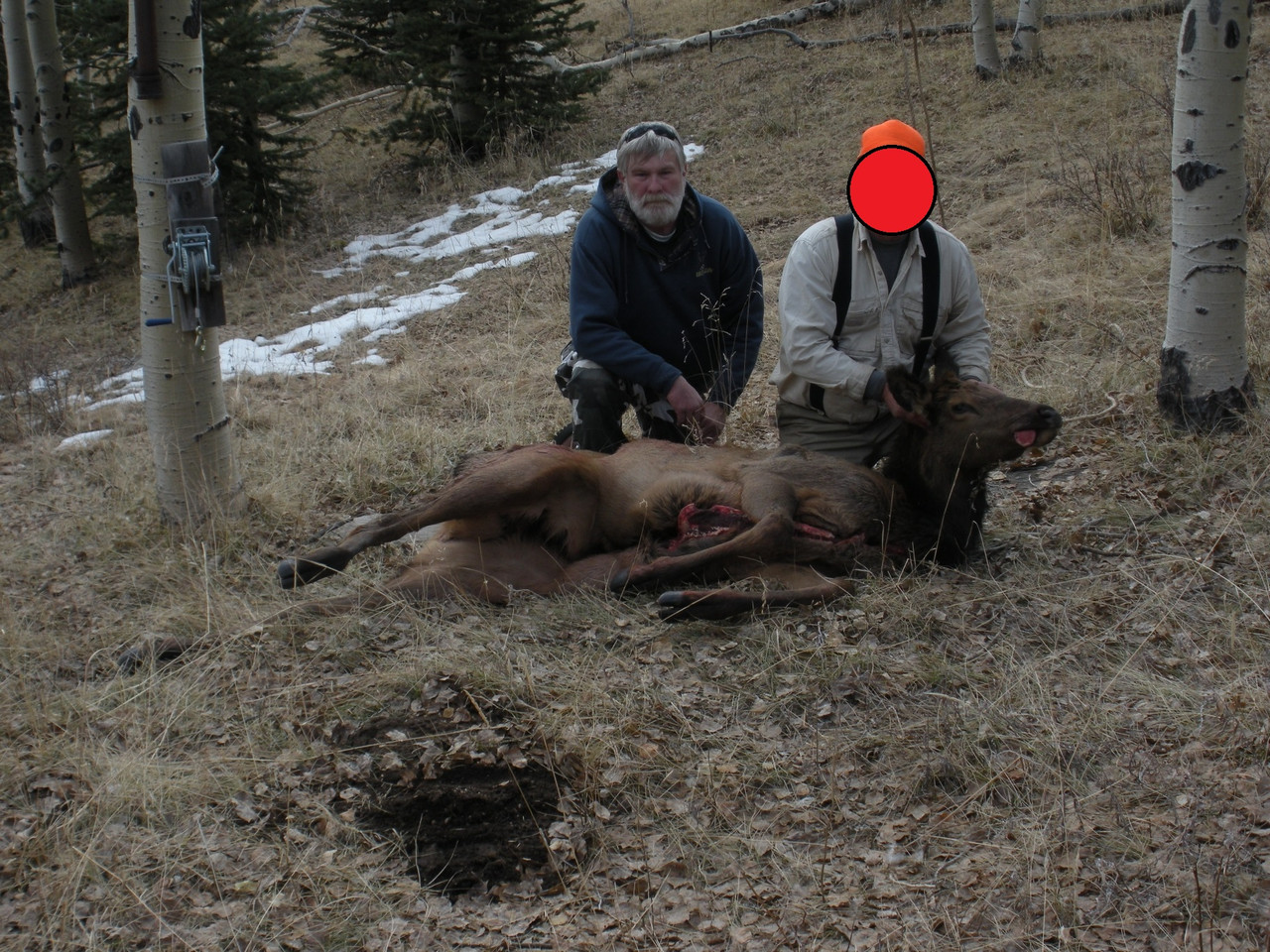 elk 07