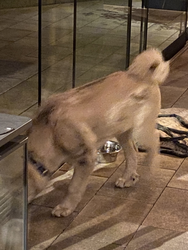 CFB12C7A-2DBF-41AE-965B-9E74A6A071A3