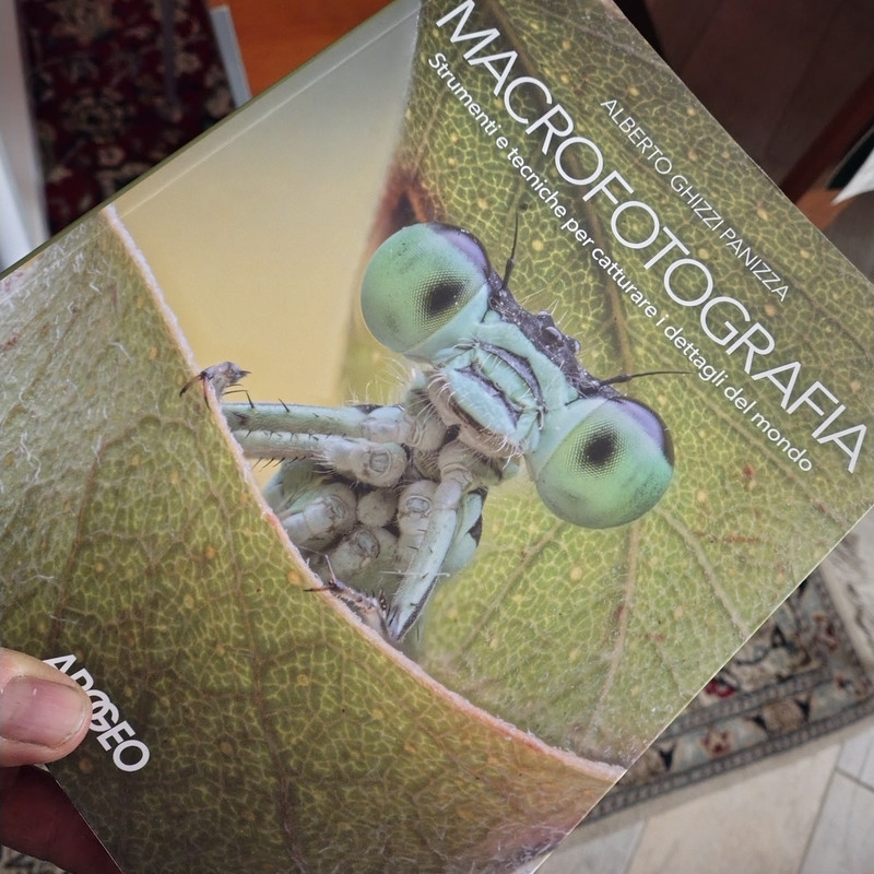 IMG 20251127 185539226 HDR