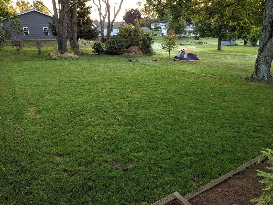 1FA99150-DCCC-42A1-8ED0-F1145934110A