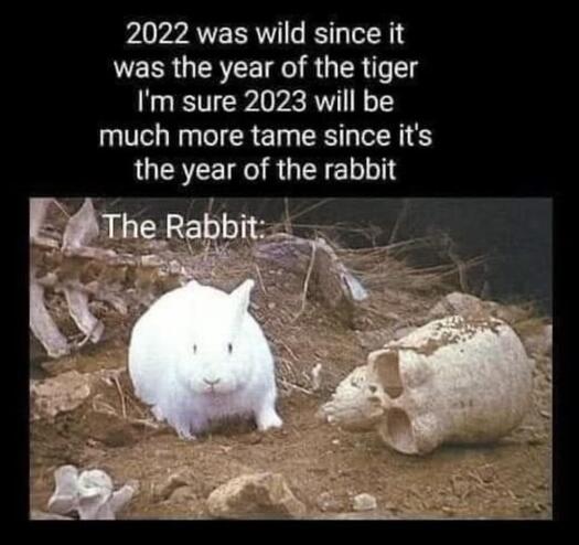 Year-of-the-Rabbit-Imgur.jpg