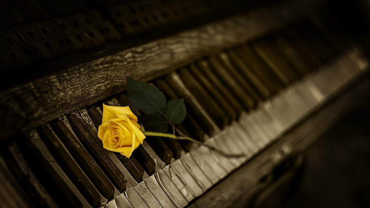 yellow-rose-piano-1239729-1280.jpg
