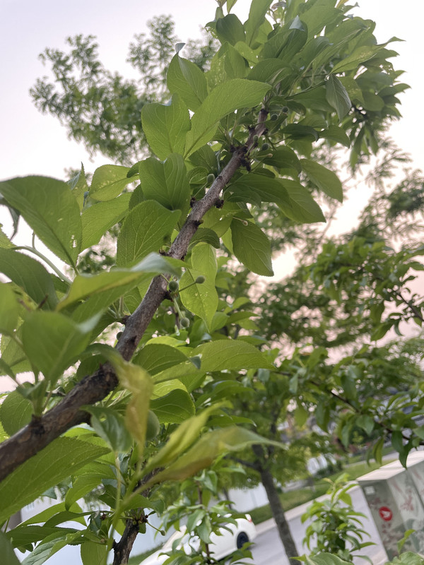 EA8B668D-B206-428B-B07C-B6804BEFDF34