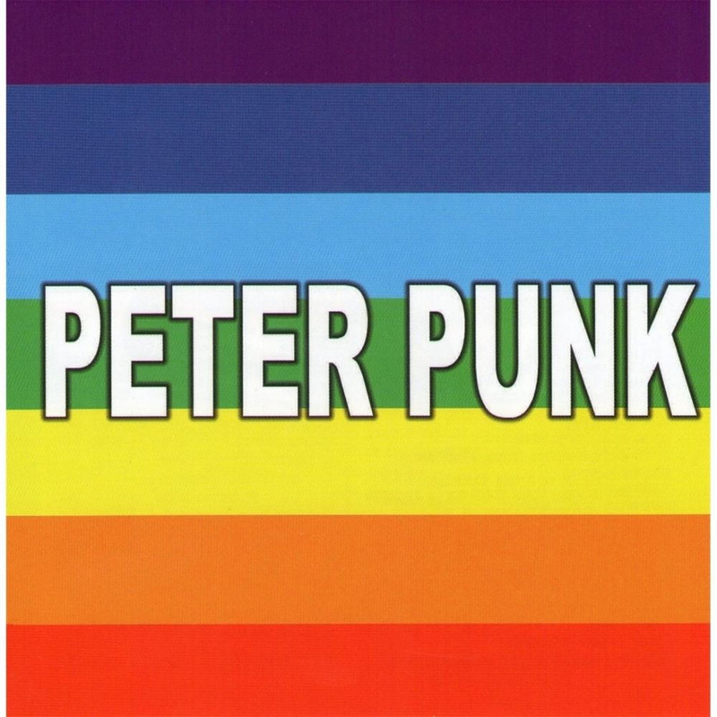 Peter Punk - Undici (2014) .Mp3 -320 Kbps