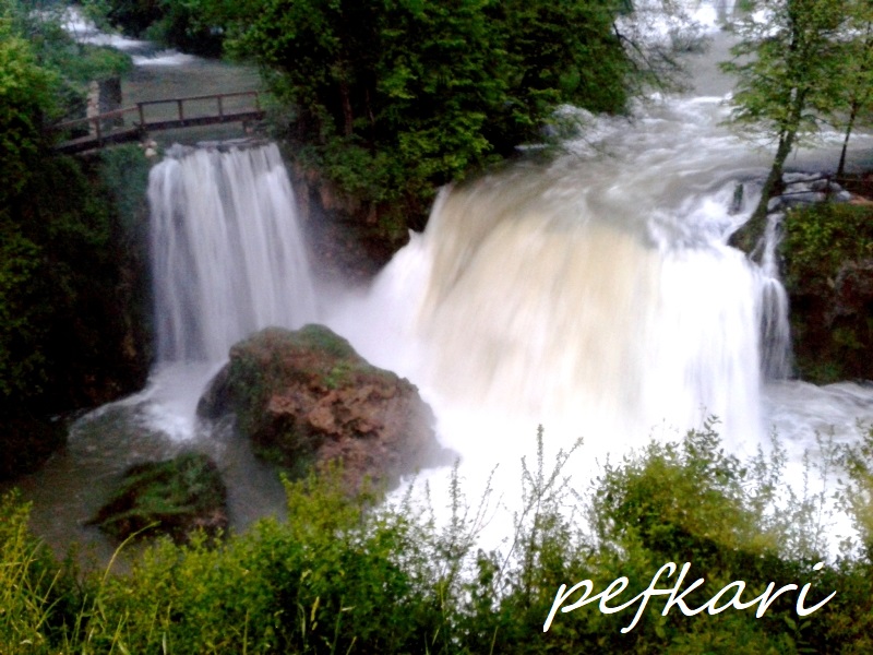 Slika