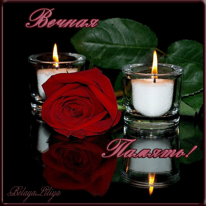 3FF77A21-EC62-4018-BF6B-62D86FFCE815